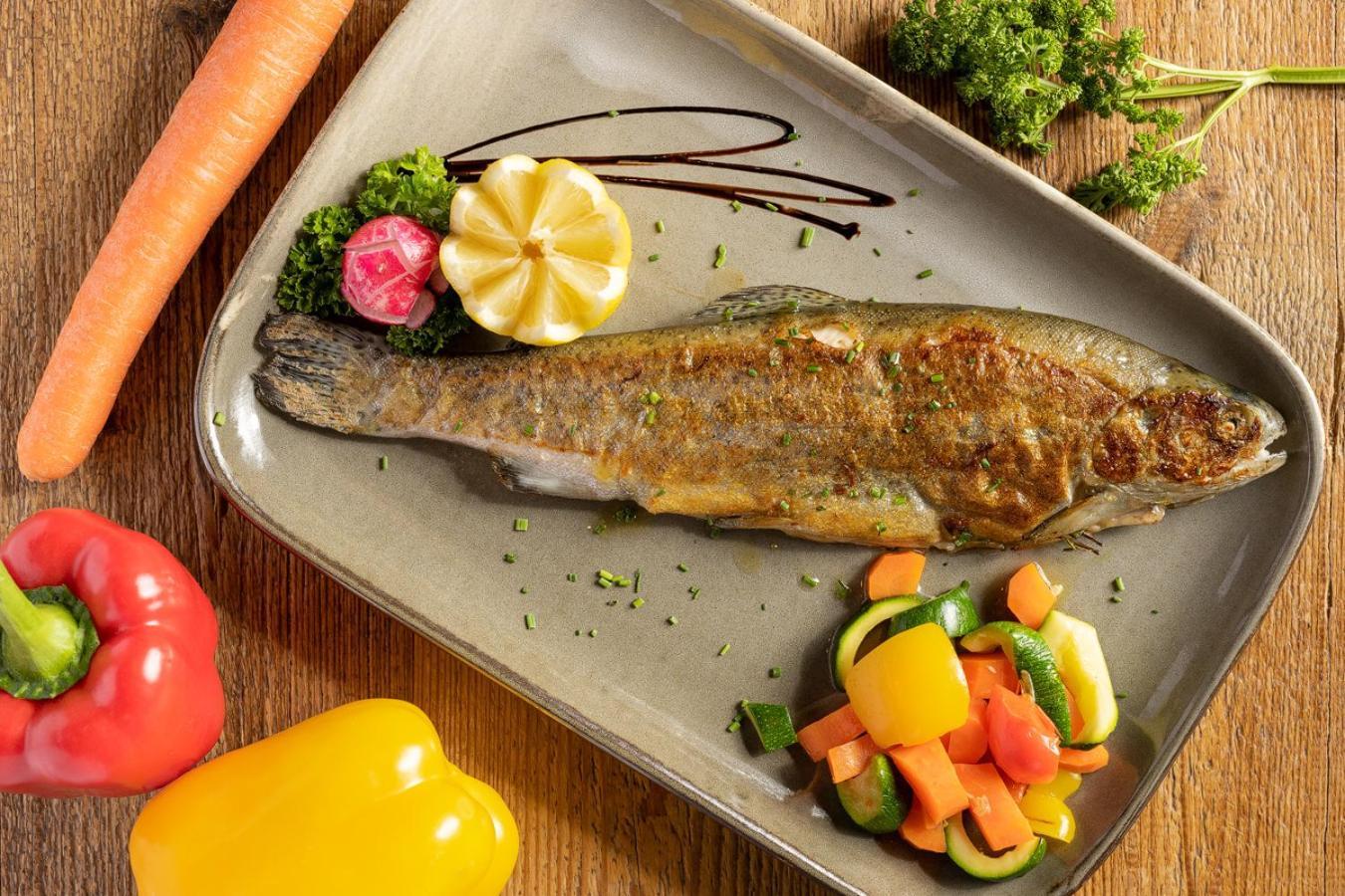 فندق Garni Ladin فيغو دي فاسا المظهر الخارجي الصورة